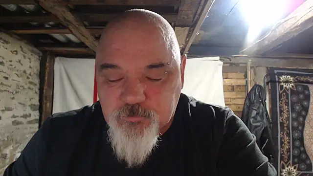 Newfiesausage1972 webcam