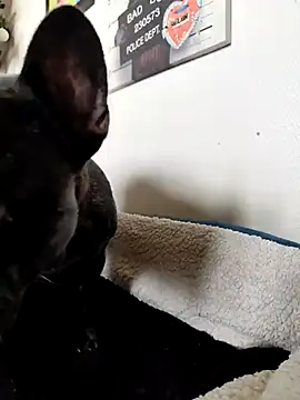 Sexeislife666 webcam