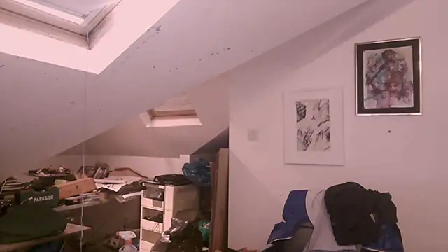 mista_sista_fista webcam