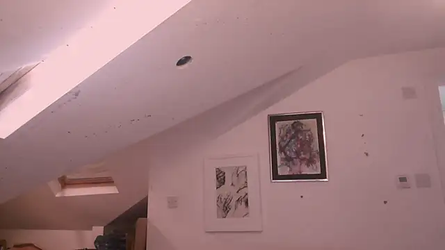 mista_sista_fista webcam