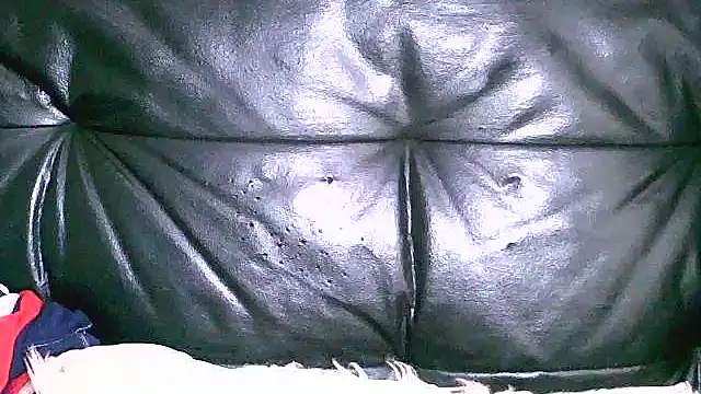 Bustypillows webcam