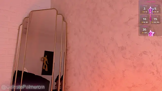 CelestePalmer_ webcam