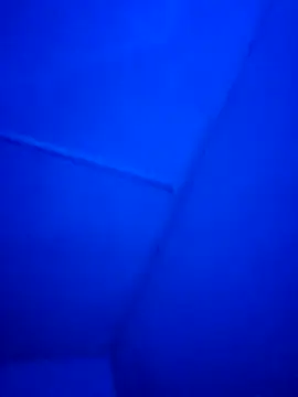 Fran-The-Smooth-One webcam