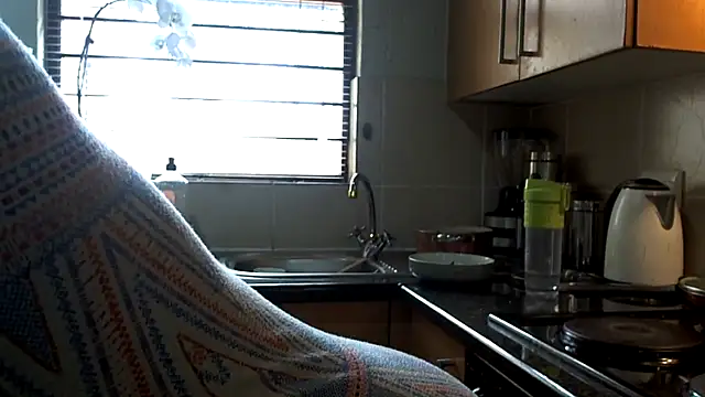 NewBeginnings8 webcam