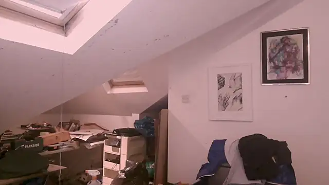 mista_sista_fista webcam