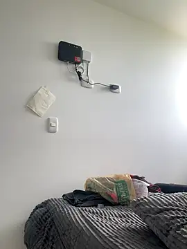 RedFox_Golden webcam