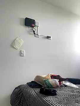 RedFox_Golden webcam