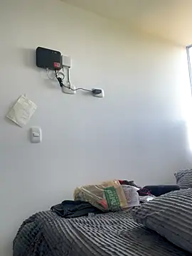 RedFox_Golden webcam