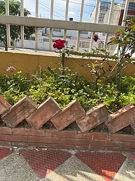 Webcam Model (Samantha_firee)  is live.Free join now!