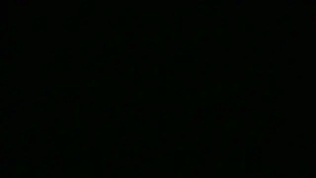 NuttyProfesir webcam