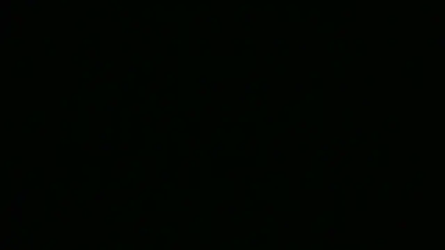 NuttyProfesir webcam