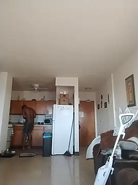 ReallyReallyReal webcam