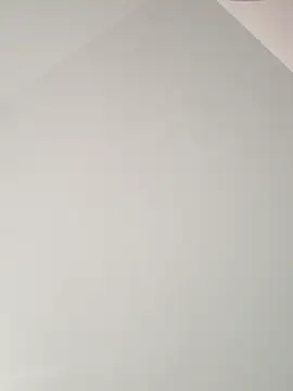 RaphinhaSanches webcam