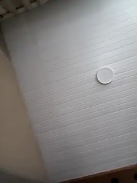 seunamoradinho7 webcam