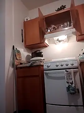 ReallyReallyReal webcam