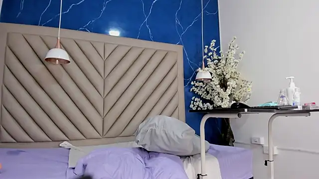 Ibbie_drastic webcam