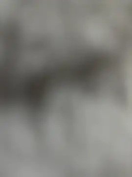 Spring-spring webcam