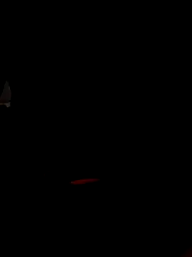 anhkiet_huang webcam