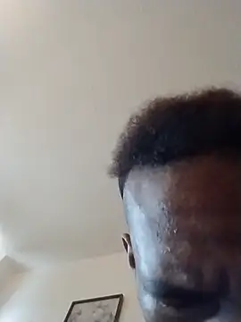 ReallyReallyReal webcam