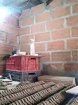 hoteder (M young) - Show much cum