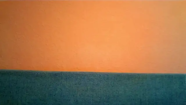 Honey_Whisper webcam