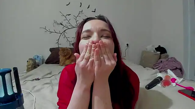 VellvetAnders webcam