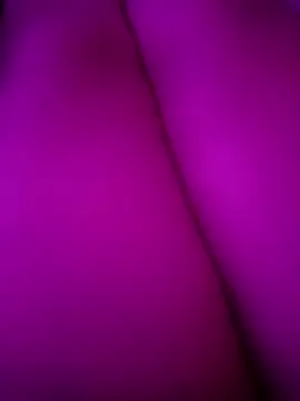 Brandi_Braulio webcam