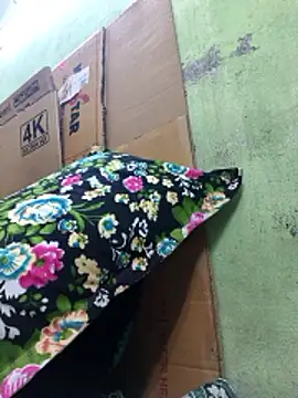 Tamilselviroja- webcam