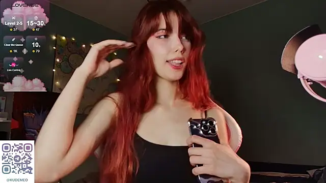 KudeMeows webcam