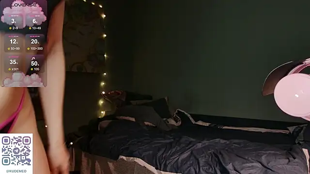 KudeMeows webcam