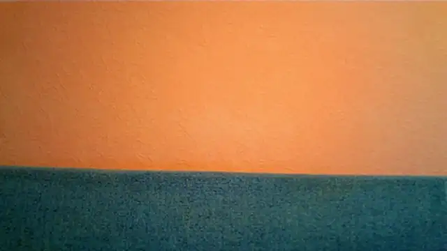 Honey_Whisper webcam