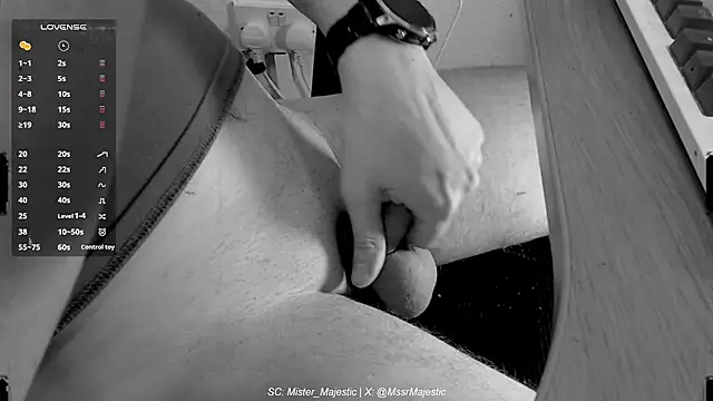 Mister_Majestic webcam