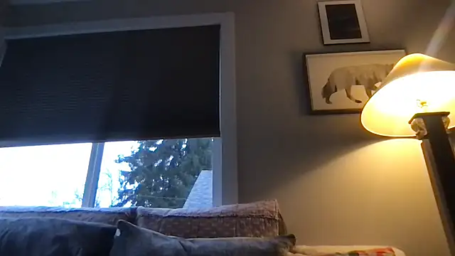 cliveokanagan24 webcam