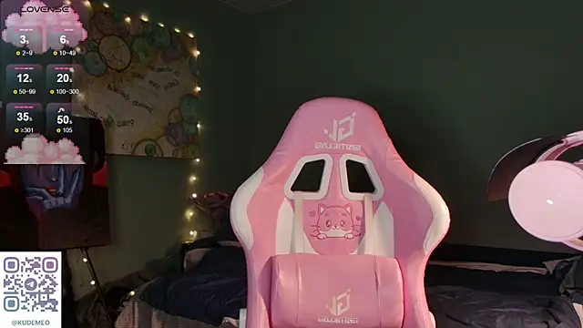 KudeMeows webcam