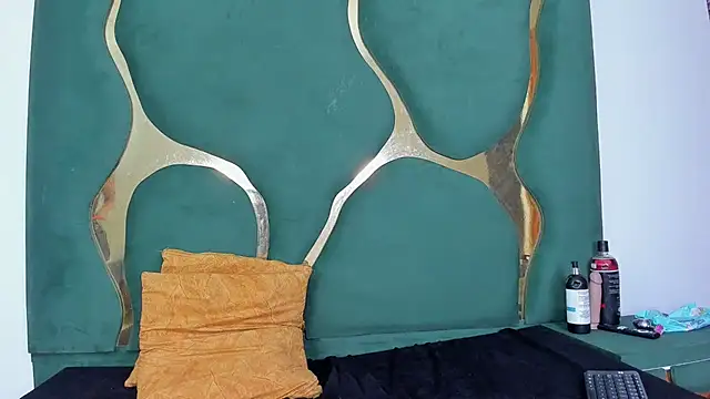 DaylesAndHarry webcam