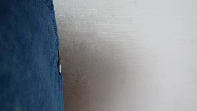 Karla_Stein2025 webcam