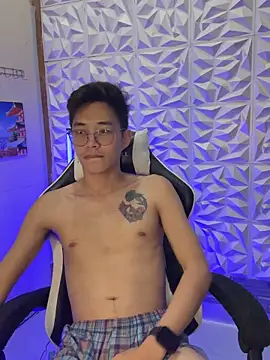 Prince-Harrison webcam