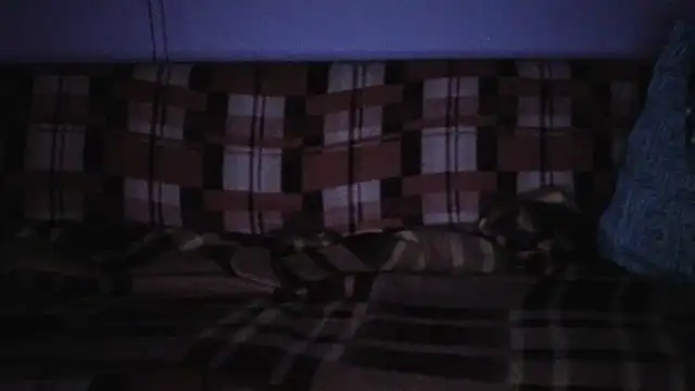 cumloverboyxx69 webcam