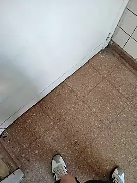 rosmeripelaes webcam