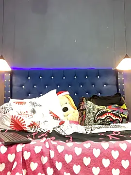 Salomon_koude webcam