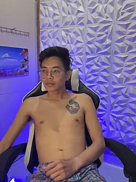 Prince-Harrison webcam