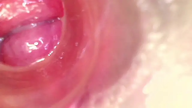 shannon_kinne_ webcam