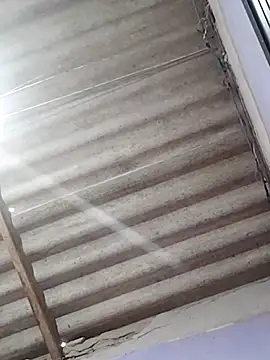 Dotadoaracaju webcam