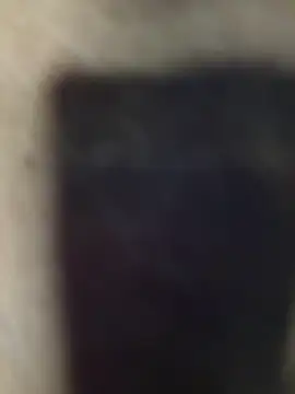 ArielleMillerr- webcam