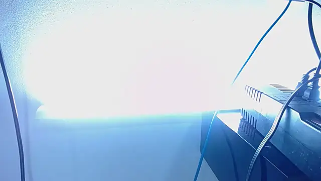 shakira_jackson webcam