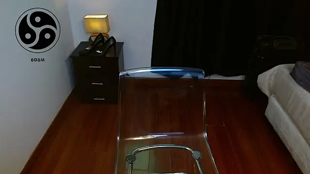 lincebdsm webcam
