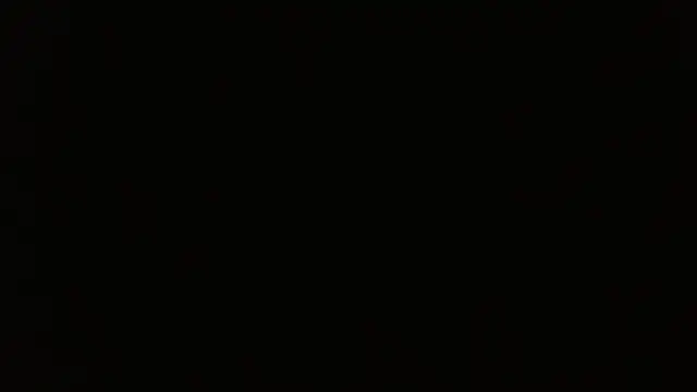 petitoiseau67 webcam