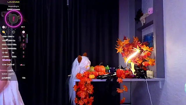 Hisoka_akerley webcam