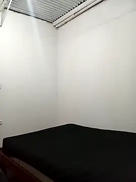 Kingbigcock23cm webcam