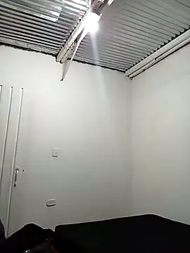 Kingbigcock23cm webcam